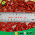 Bayas de Goji de la hierba china (gouqi) / wolfberry